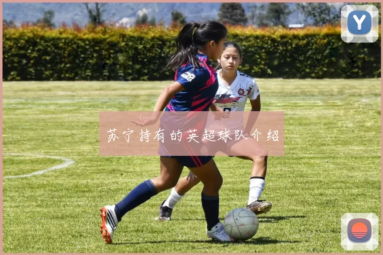 苏宁持有的英超球队介绍