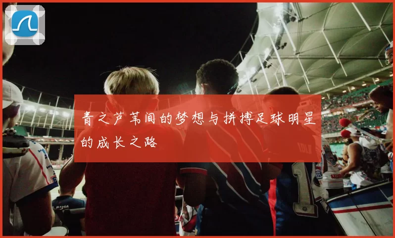 青之芦苇间的梦想与拼搏足球明星的成长之路
