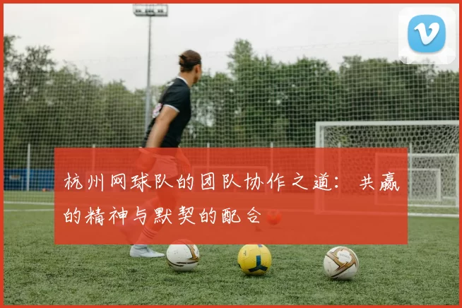 杭州网球队的团队协作之道：共赢的精神与默契的配合