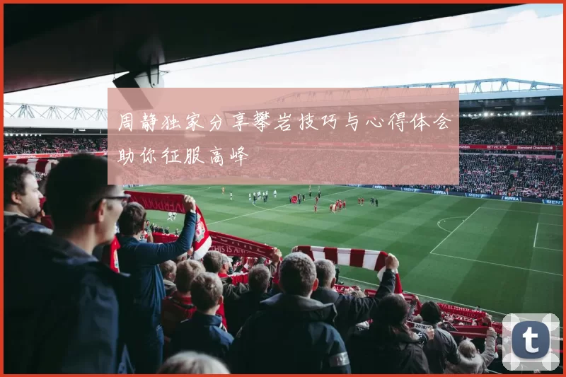 周静独家分享攀岩技巧与心得体会助你征服高峰