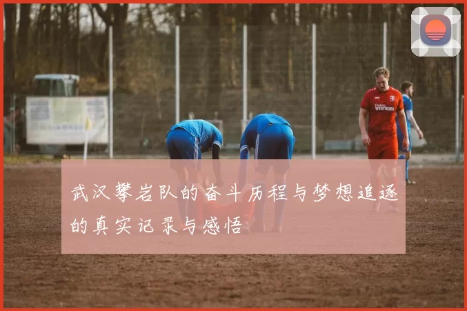 武汉攀岩队的奋斗历程与梦想追逐的真实记录与感悟