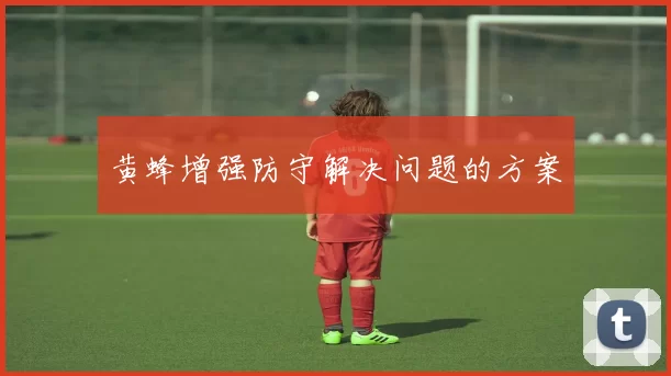 黄蜂增强防守解决问题的方案