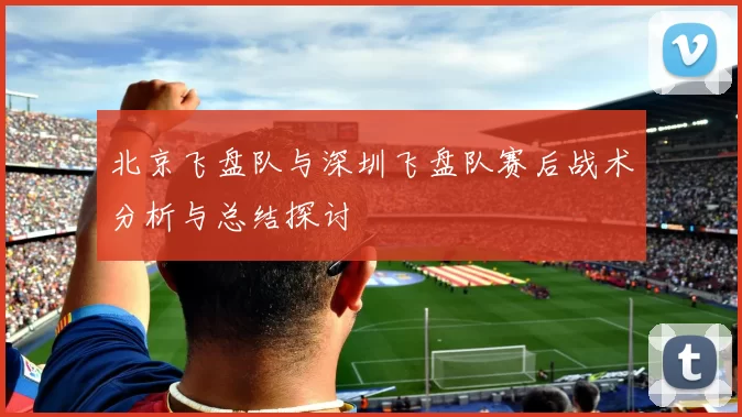 北京飞盘队与深圳飞盘队赛后战术分析与总结探讨