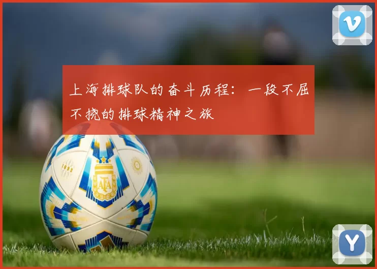 上海排球队的奋斗历程：一段不屈不挠的排球精神之旅