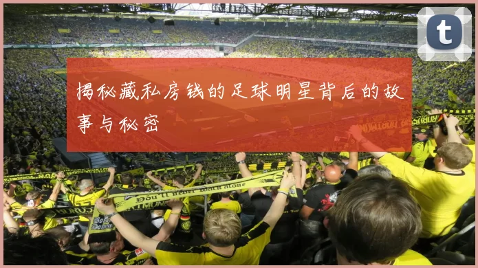 揭秘藏私房钱的足球明星背后的故事与秘密