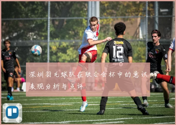深圳羽毛球队在联合会杯中的意识表现分析与点评