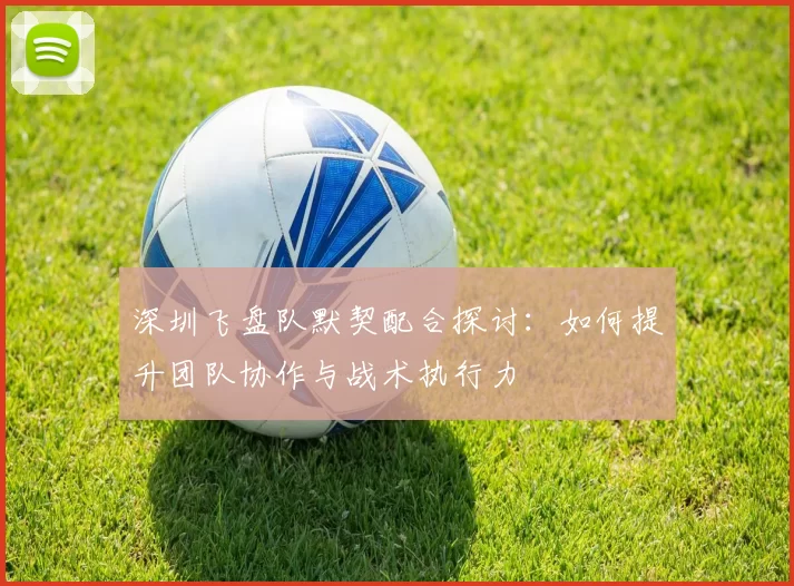 深圳飞盘队默契配合探讨：如何提升团队协作与战术执行力