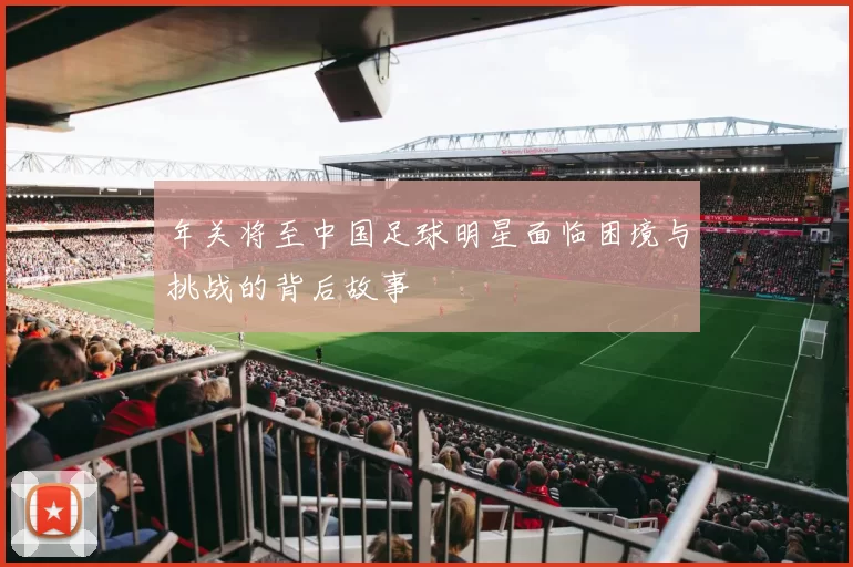 年关将至中国足球明星面临困境与挑战的背后故事