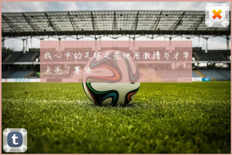 我心中的足球之星他用激情与才华点亮了赛场