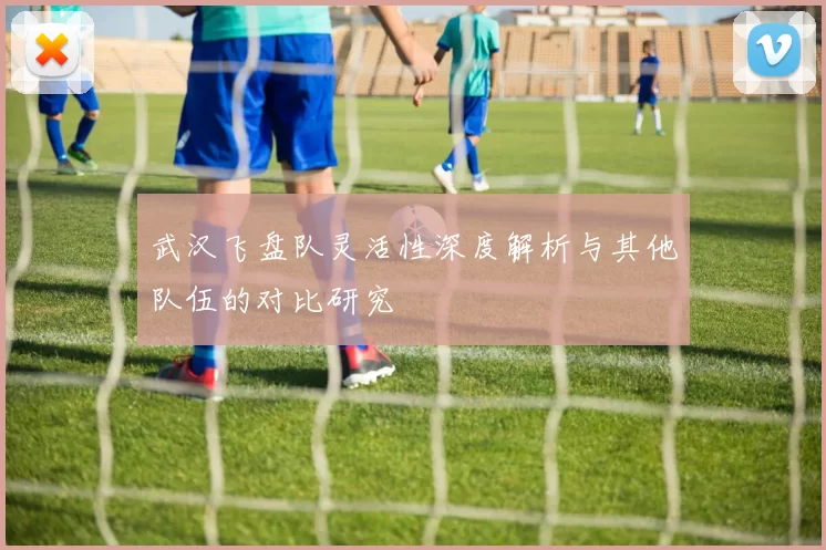 武汉飞盘队灵活性深度解析与其他队伍的对比研究
