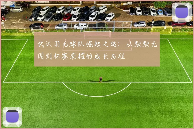 武汉羽毛球队崛起之路：从默默无闻到杯赛荣耀的成长历程