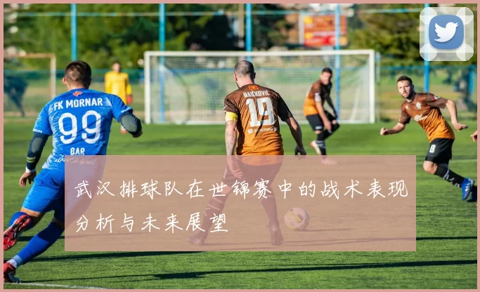 武汉排球队在世锦赛中的战术表现分析与未来展望