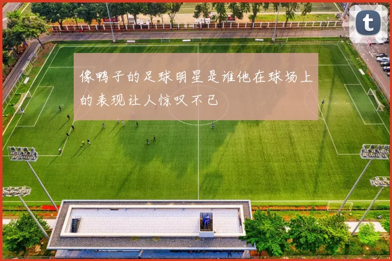 像鸭子的足球明星是谁他在球场上的表现让人惊叹不已