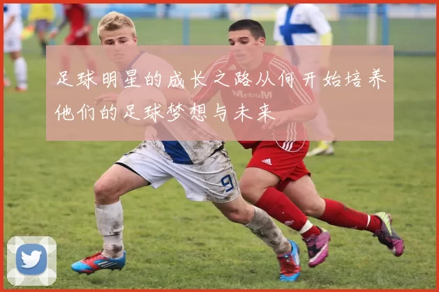 足球明星的成长之路从何开始培养他们的足球梦想与未来