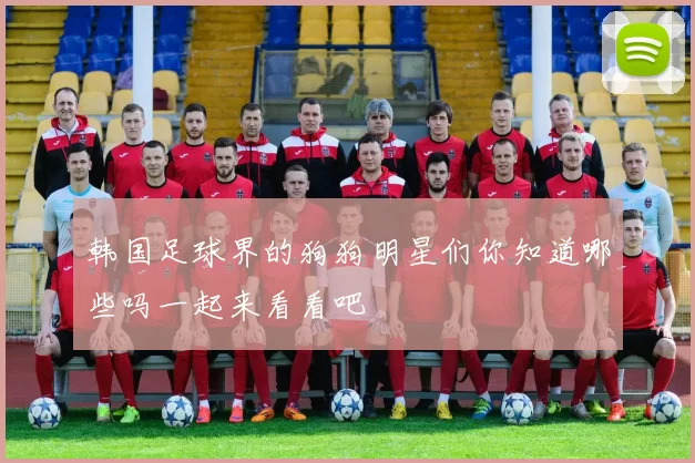 韩国足球界的狗狗明星们你知道哪些吗一起来看看吧