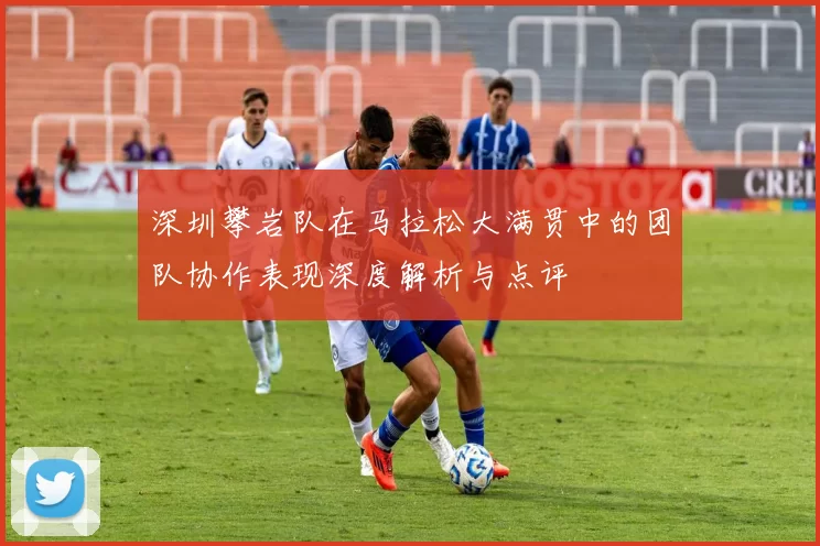 深圳攀岩队在马拉松大满贯中的团队协作表现深度解析与点评