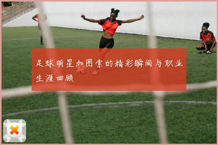 足球明星加图索的精彩瞬间与职业生涯回顾