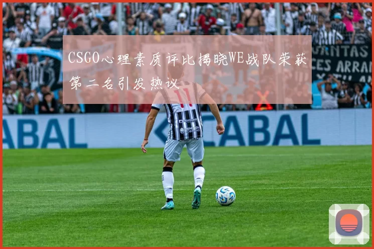 CSGO心理素质评比揭晓WE战队荣获第二名引发热议